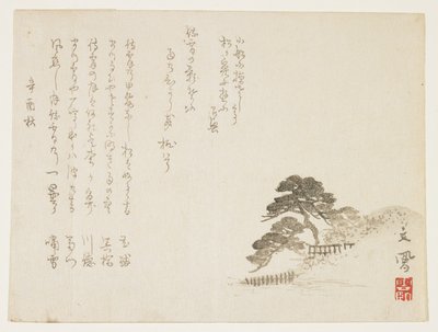 Kiefern auf einem Hügel, 1801 von Bumpo Kawamura